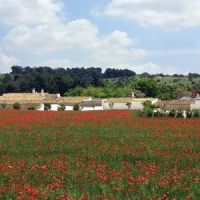 Masseria Barbera