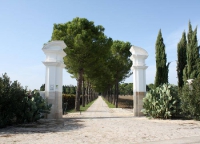 Az. Ag. Conte Spagnoletti Zeuli